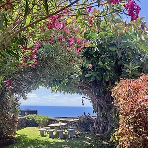 Casa Mar Y Jardin Tranquilidad Y Vistas Unicas , Playa Cancajos.- BreNa Baja (la Palma) España