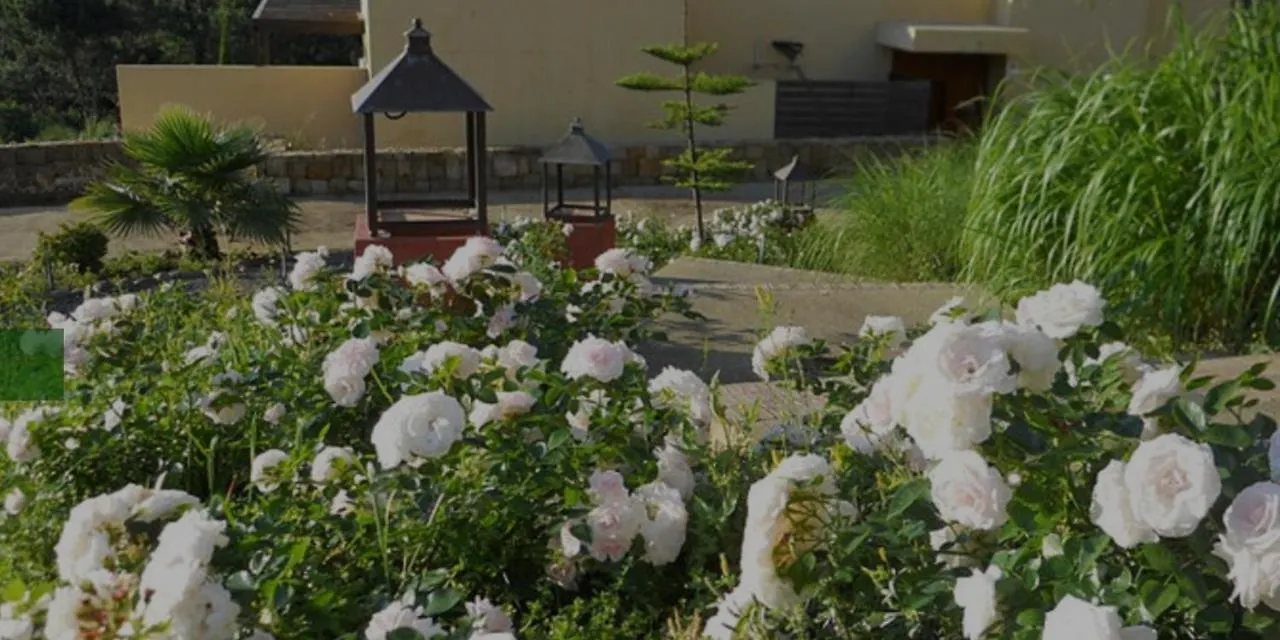 Apartamento Parque Botanico Resort&Country Club Estepona